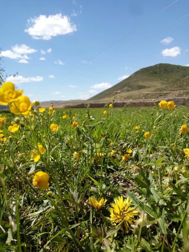 浪漫的集体露营,浪漫的第一次