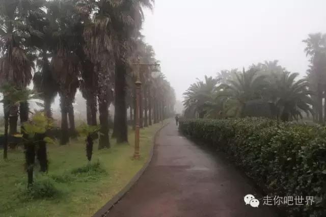 韩囧完整版,韩囧之旅