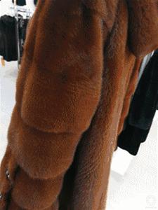 真假皮草的鉴别方法,怎样鉴别皮草的真假