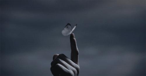 我和我家老张TheOldRomance