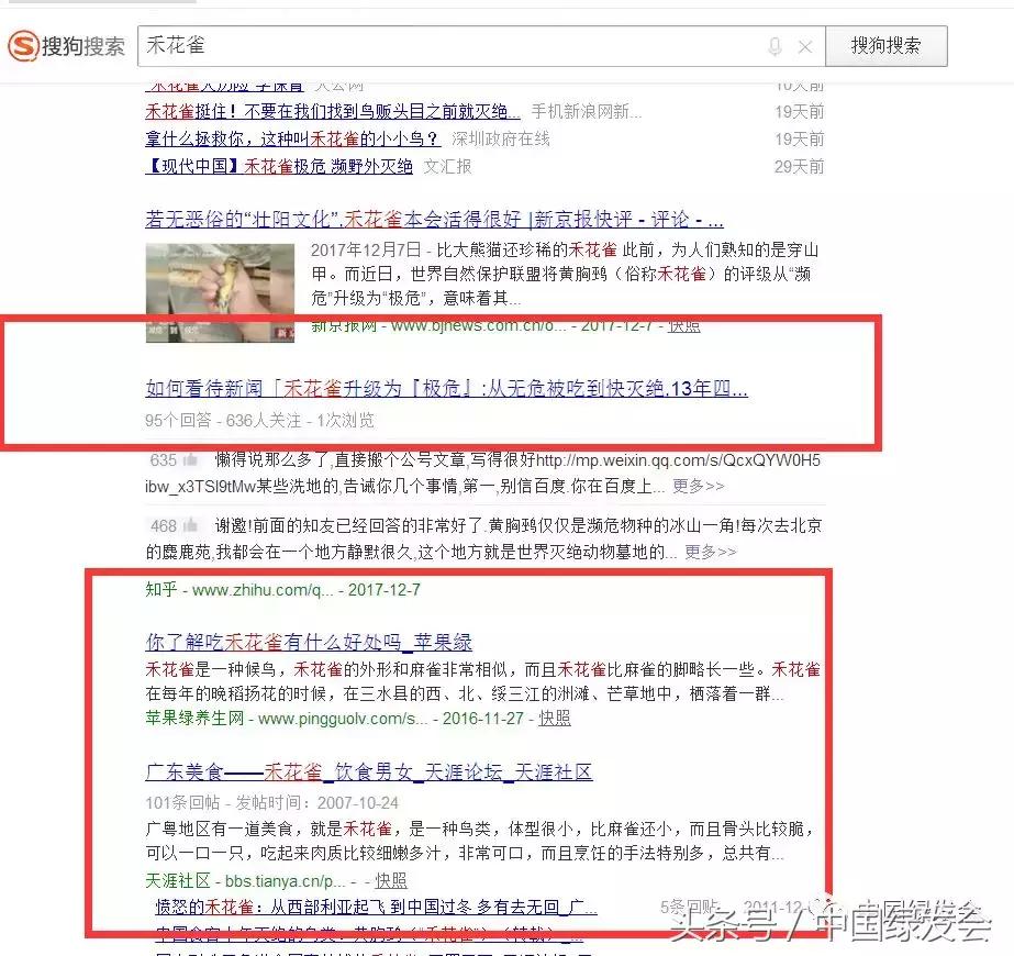 禾花雀搜索对比|看百度搜狗360必应的社会责任和对用户意见的反应