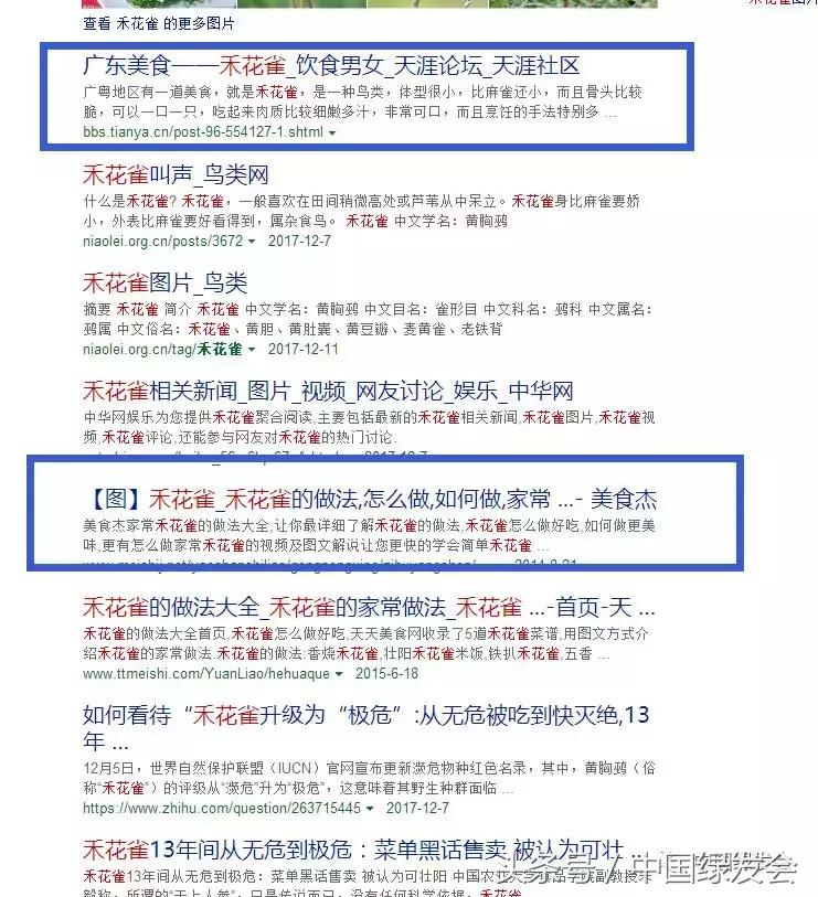 禾花雀搜索对比|看百度搜狗360必应的社会责任和对用户意见的反应