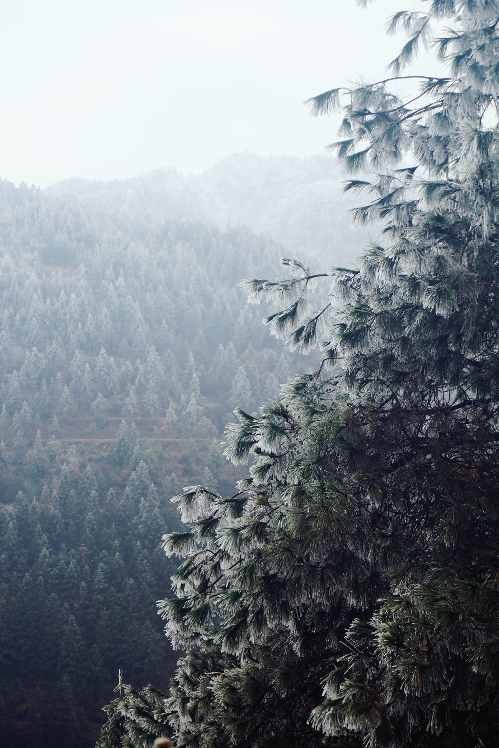 MAXWINLOVE|1600公里,为爱前行