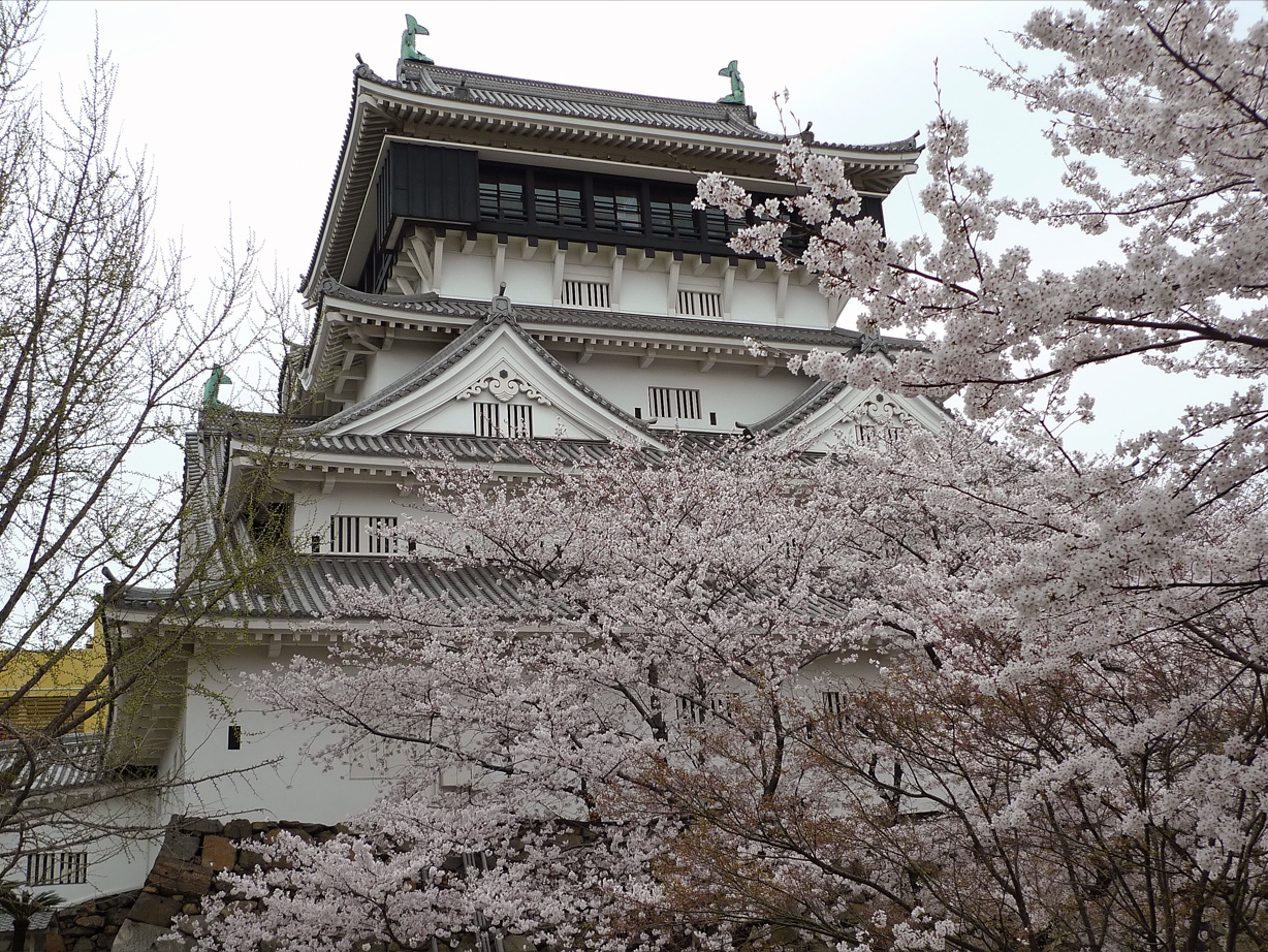 日本九州福冈美食一条街,福冈必去景点推荐