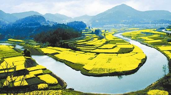 “最强大脑”周玮在绵阳享受快乐时光