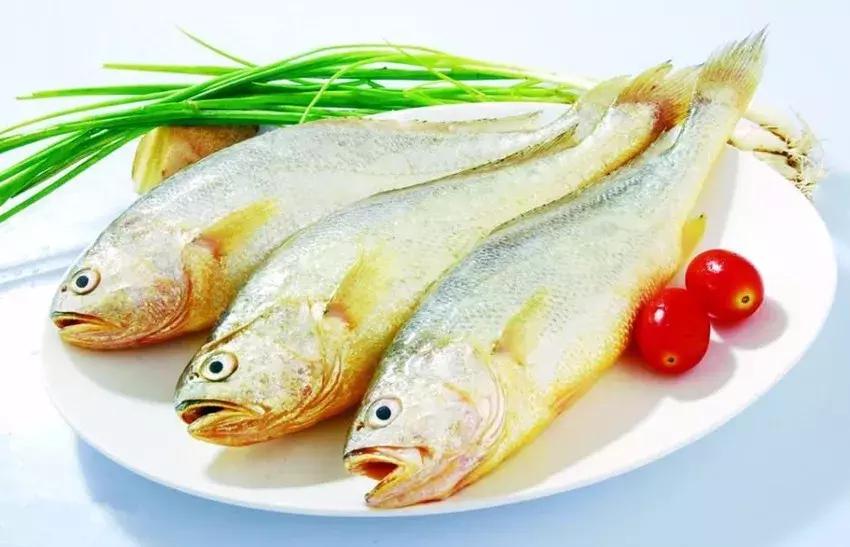 3个鱼钩串起来的绑法,带孔鱼钩单线的绑法