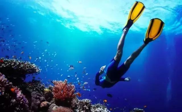 前任3美娜多,带着前任看前任3为什么都复合了