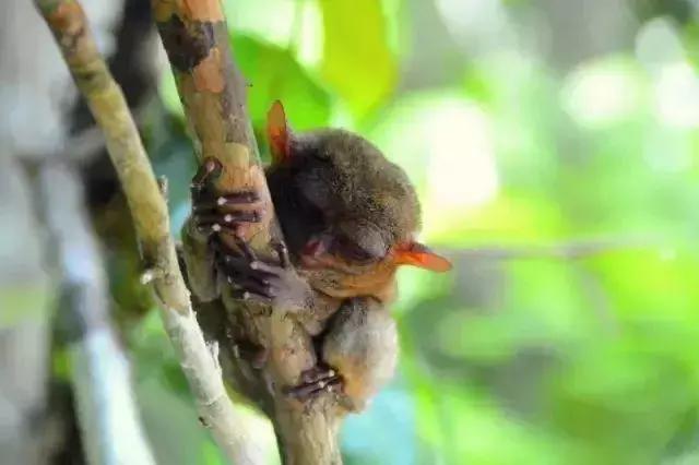 前任3美娜多,带着前任看前任3为什么都复合了