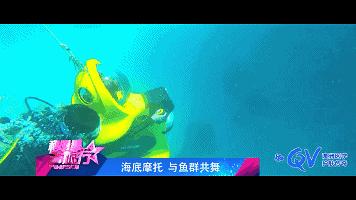 杜若溪综艺玩吊桥,杜若溪星辰大海