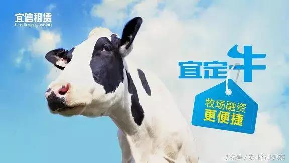 专访｜宜信租赁毛芳竹：农民是值得信赖的！