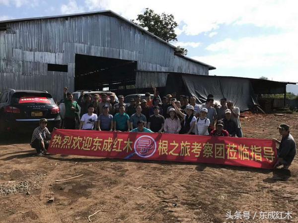 东成红木历史,2020红木十大品牌东成红木