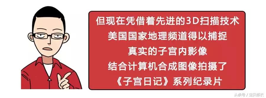 卵子和精子相遇……怎么就变成小孩了?