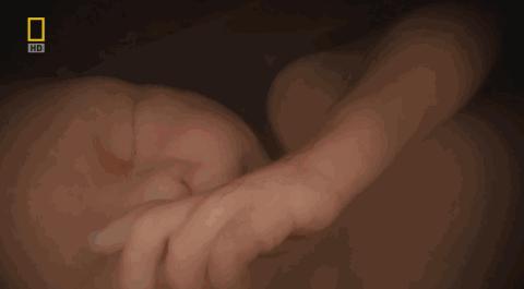 卵子和精子相遇……怎么就变成小孩了?