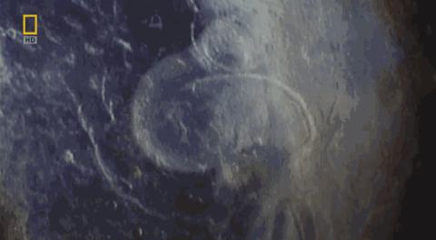 卵子和精子相遇……怎么就变成小孩了?