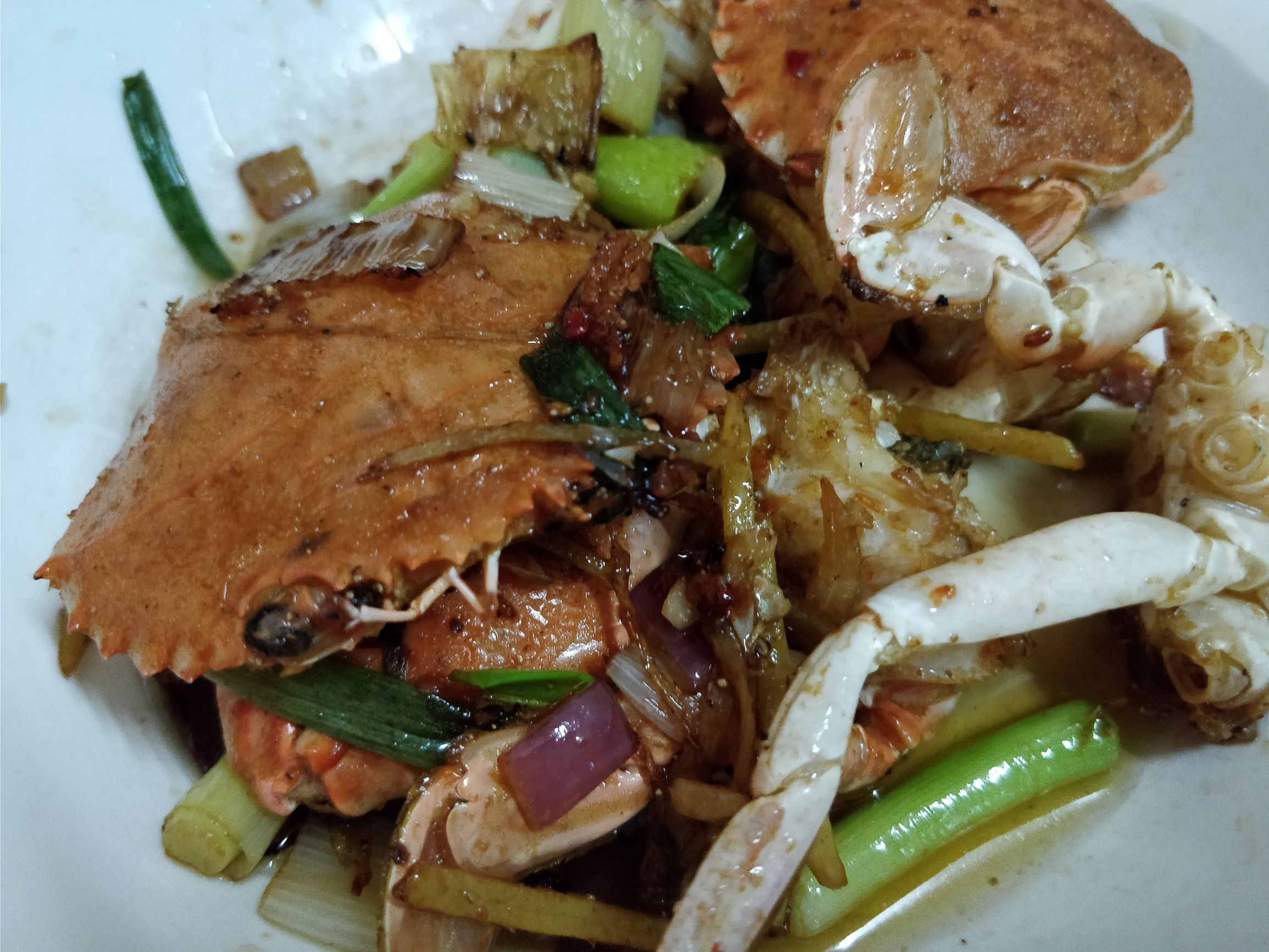 三亚体验网红帆船,三亚帆船海钓体验记