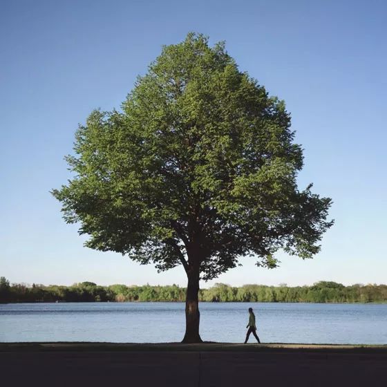 手机摄影创作方法,手机摄影构图的十七种方法