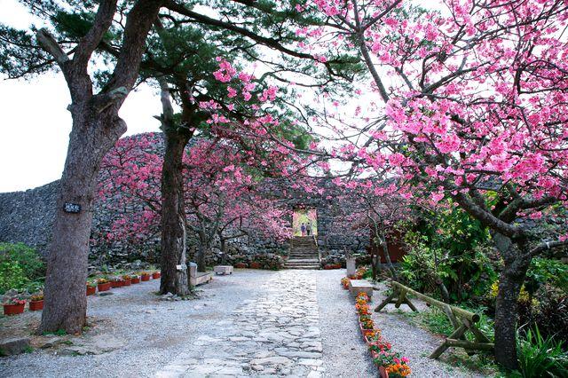 日本九州福冈美食一条街,福冈必去景点推荐