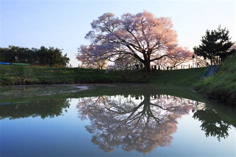 日本九州福冈美食一条街,福冈必去景点推荐