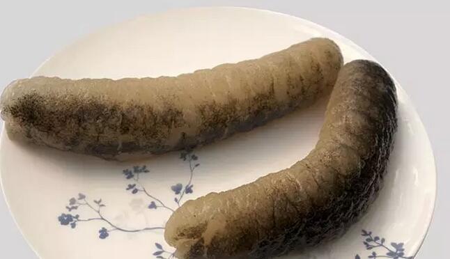 你知道世界上的鱼类有多少个,你知道的海底世界有多少种鱼