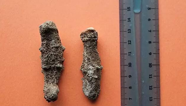 你知道世界上的鱼类有多少个,你知道的海底世界有多少种鱼