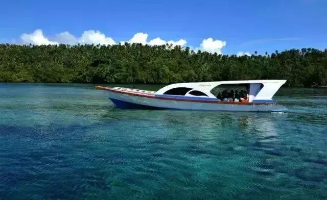 前任3美娜多,带着前任看前任3为什么都复合了