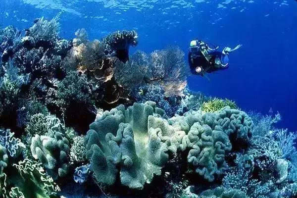 前任3美娜多,带着前任看前任3为什么都复合了