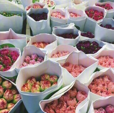 3000块钱能去香港玩几天,3000块玩遍东北