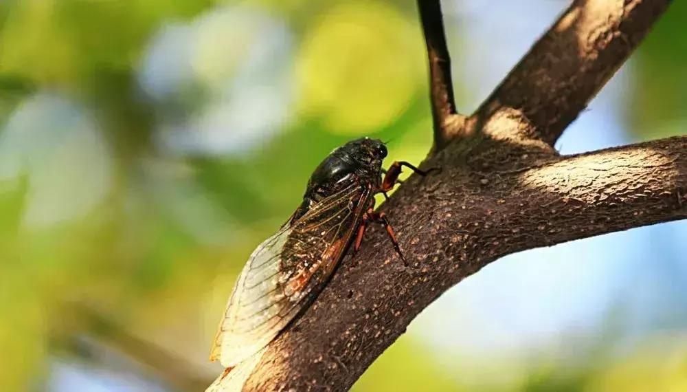 中医谈养生寻医不如自医,中医养生的关键在顺应自然