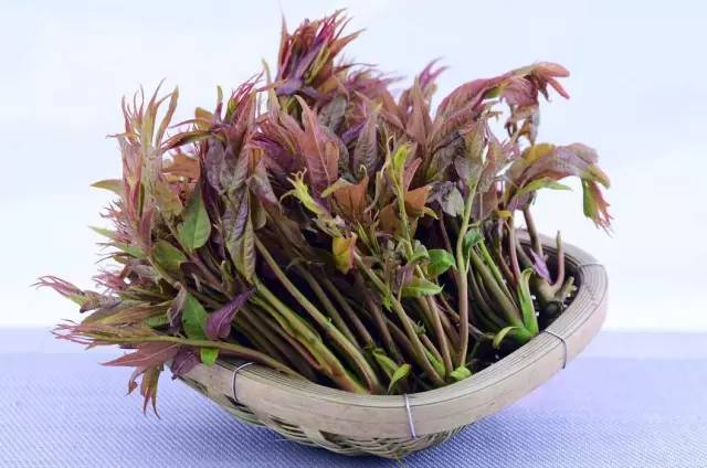 这6种海鲜要多吃,这6种野菜你都吃过吗