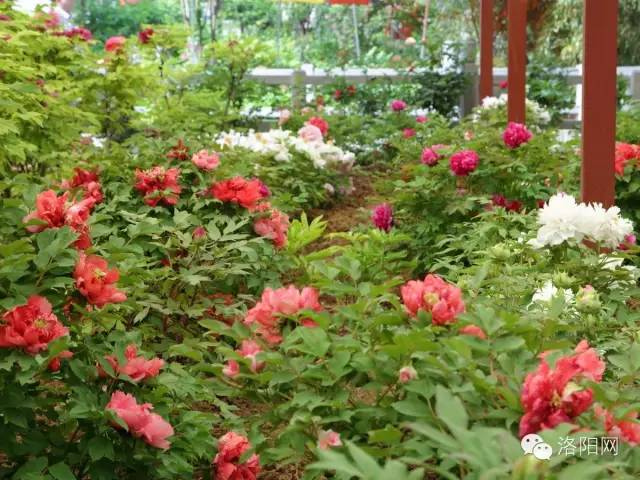 经历着狂风暴雨,经历了狂风暴雨就没法忍受