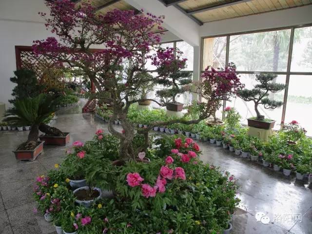 经历着狂风暴雨,经历了狂风暴雨就没法忍受