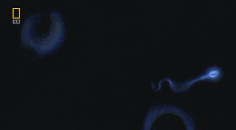 卵子和精子相遇……怎么就变成小孩了?