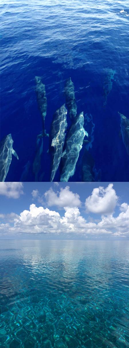 椹潵瑗夸簹娲涘厠灏间簹閽撳満,椹潵瑗夸簹閽撳満