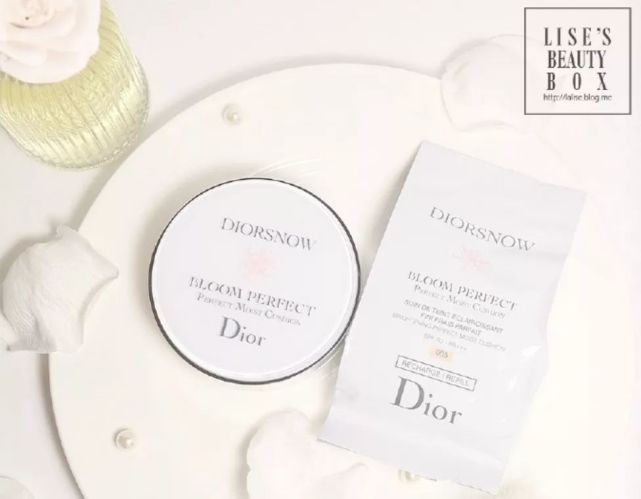 冬天化妆的气垫推荐什么 (新手化妆选什么气垫好看)