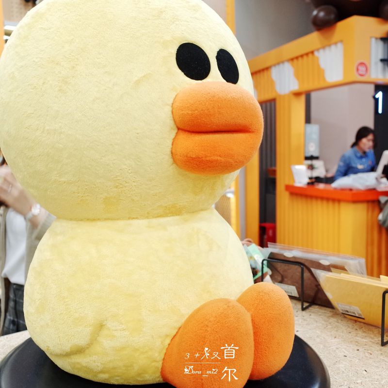 再游首尔,爱上那些不期而遇的美(二)