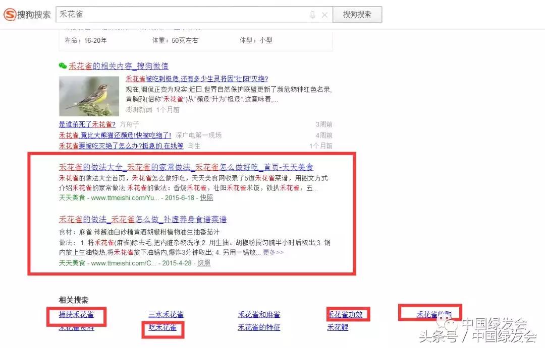 禾花雀搜索对比|看百度搜狗360必应的社会责任和对用户意见的反应