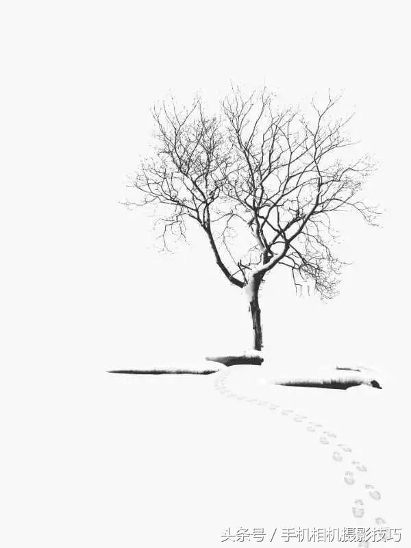 最普通的雪景拍摄感觉,看看你们拍的雪景是什么样的