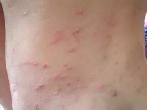 主人把狗狗搂在怀里睡觉,狗狗被主人抱床上睡觉