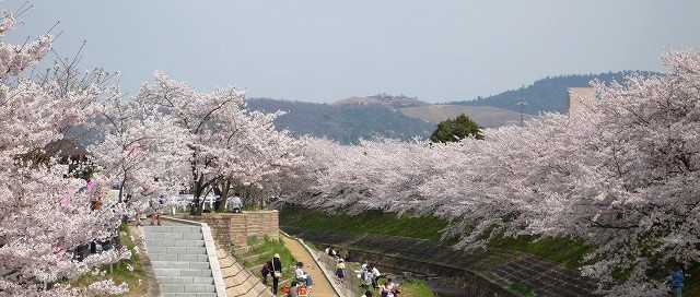 日本九州福冈美食一条街,福冈必去景点推荐