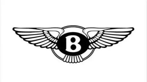 真有创意｜想让你的品牌一秒展现出速度感吗？一双翅膀帮你实现！