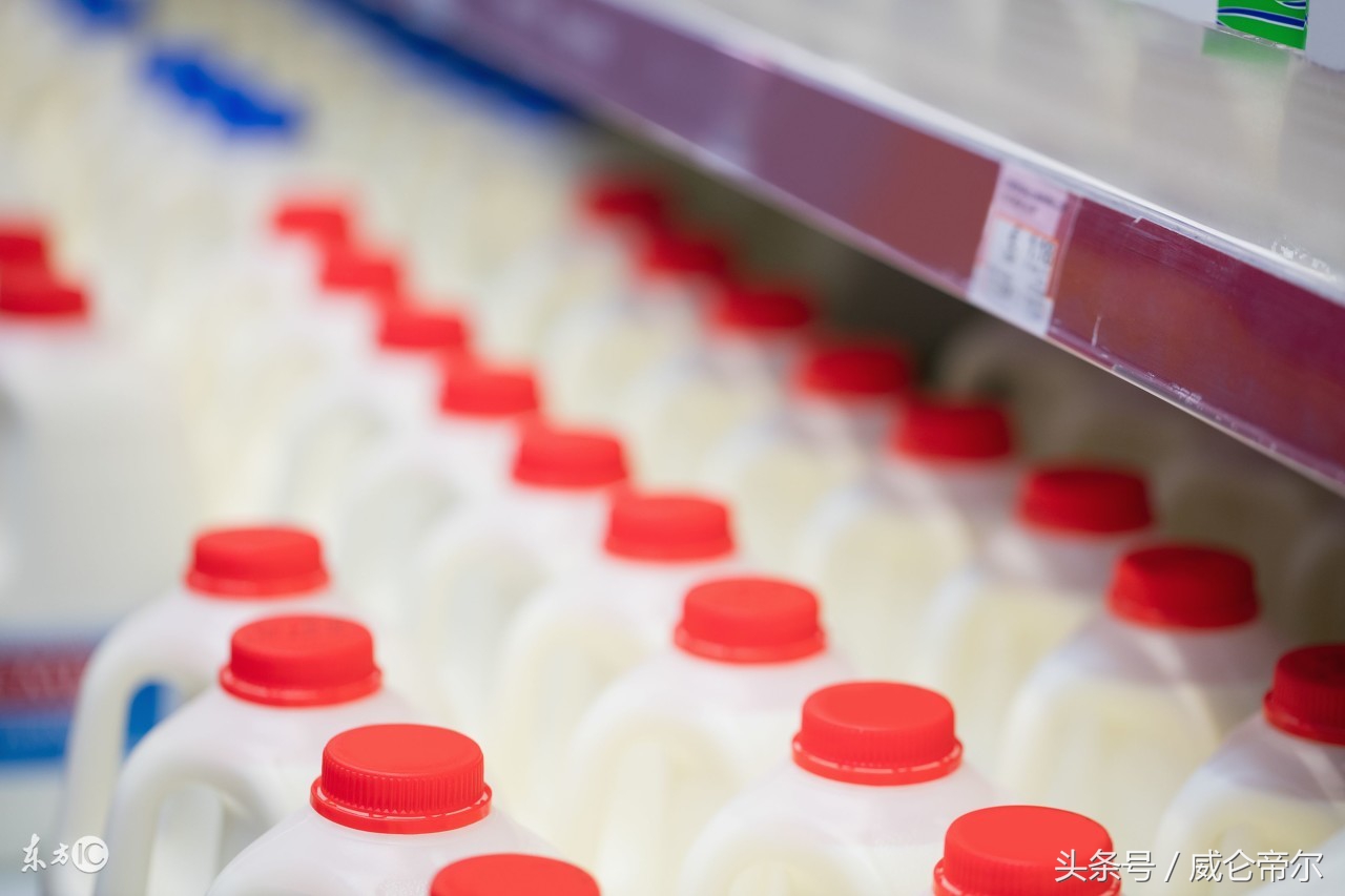 奶制品不含奶,大部分奶制品都不含奶