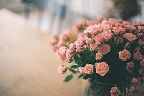 关于爱情五个骗人的心灵鸡汤,心灵鸡汤人生感悟朋友圈关于爱情