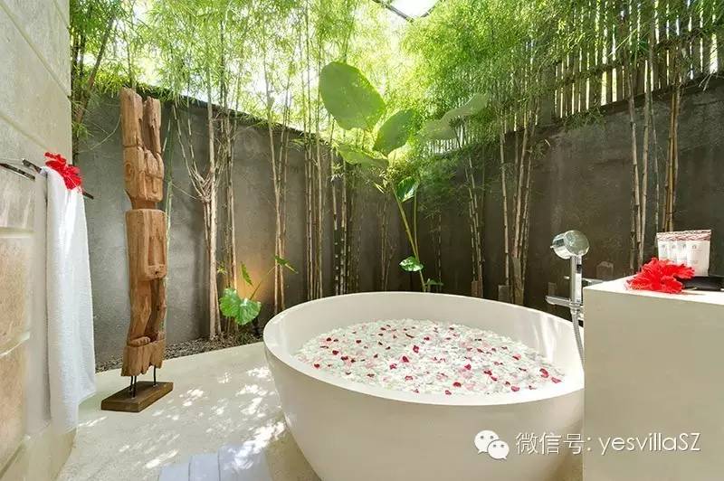 巴厘岛充电的正确方法,巴厘岛的几种玩法