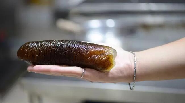 你知道世界上的鱼类有多少个,你知道的海底世界有多少种鱼