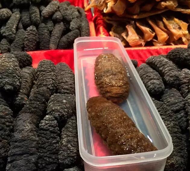 你知道世界上的鱼类有多少个,你知道的海底世界有多少种鱼