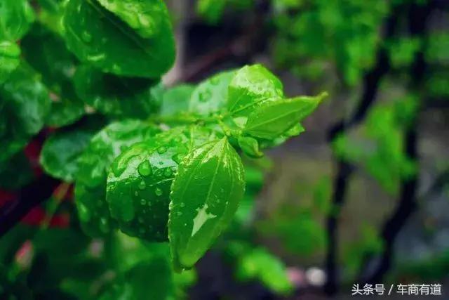 汽车售后延保常见的问题,汽车售后延保工作内容