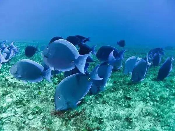 前任3美娜多,带着前任看前任3为什么都复合了