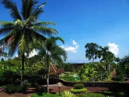 前任3美娜多,带着前任看前任3为什么都复合了