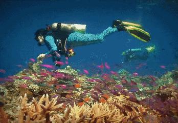 前任3美娜多,带着前任看前任3为什么都复合了