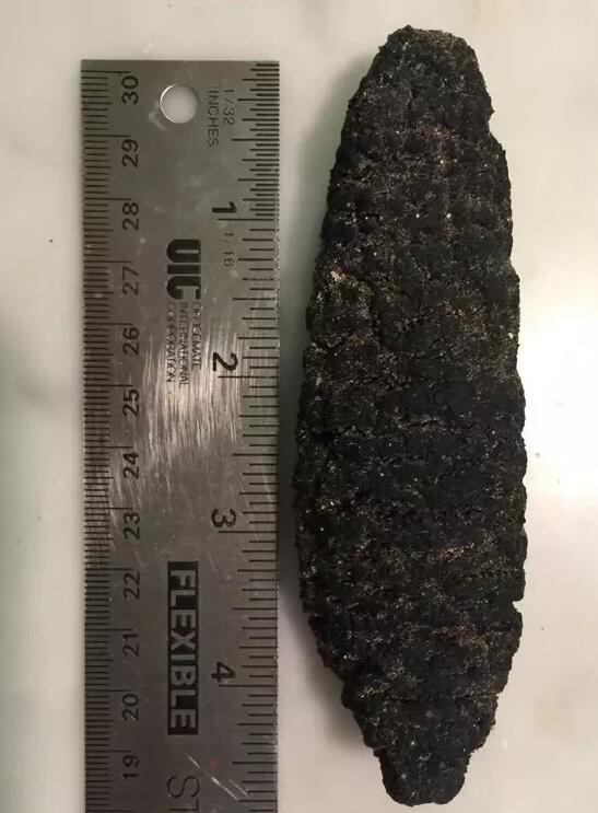 你知道世界上的鱼类有多少个,你知道的海底世界有多少种鱼